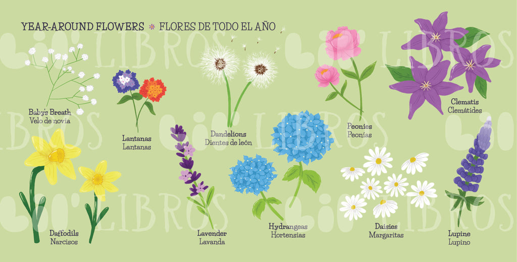 flower lily in spanish My First 100 Plantitas & Florecitas Words (Bilingual)