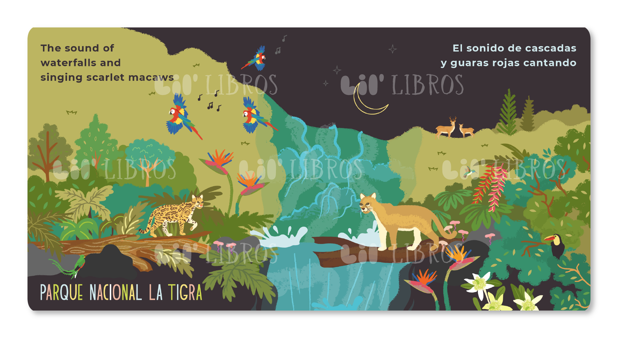 Image of VÁMONOS: Tegucigalpa spread of Parque Nacional La Tigra.